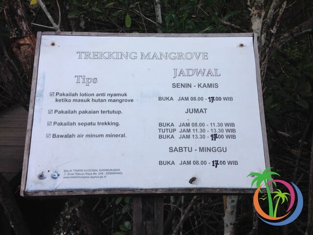 jadwal buka tracking mangrove karimunjawa
