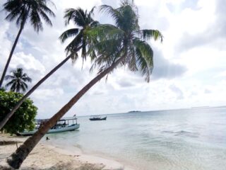 Gambar kelapa miring pantai ujung gelam karimunjawa
