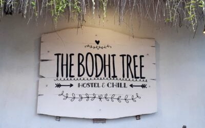 The Bodhi Tree Hostel & Chill