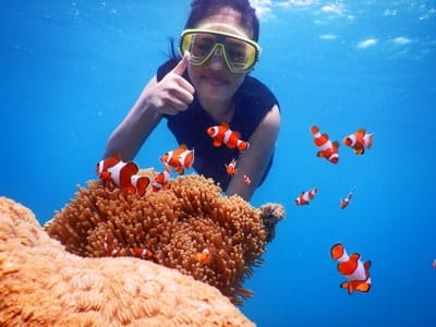 Spot Nemo Paket Wisata Karimunjawa dari Bandung