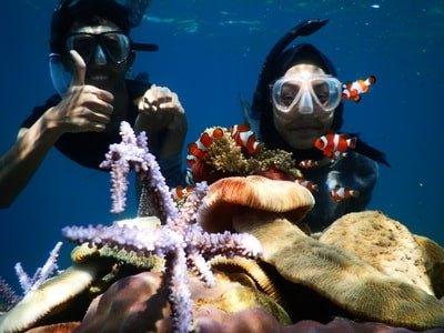 Jadwal Kapal Karimunjawa Express Bahari Februari 2023 Spot Nemo