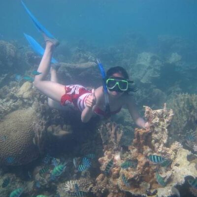 website agen wisata karimunjawa