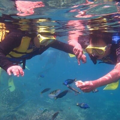 Harga Paket Karimunjawa Murah