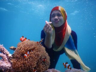 Snorkeling, Free Diving, Scuba Diving Karimunjawa