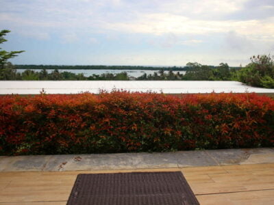 KARIMUNJAWA PEMANDANAN BUNGA DI HOTEL DSEASON EXTERIOR