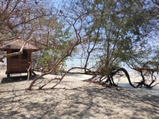 Lokasi wisata Pulau Cemara Besar Karimunjawa