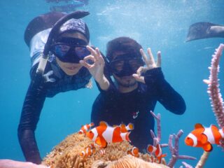 Trip karimunjawa snorkeling Pulau Cemara Besar Karimunjawa