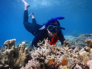Ikan hias snorkeling Pulau Cemara Besar Karimunjawa (4)