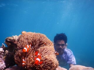 Free Diving Karimunjawa Island