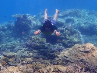 Holiday Karimunjawa Free Diving