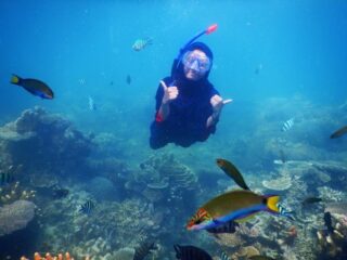 Open trip Taka Sendok Karimunjawa