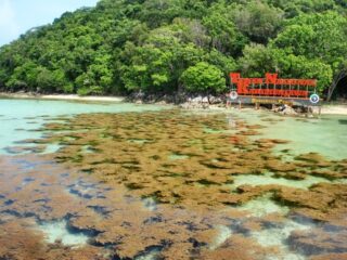 Papan nama sedimen BTNKJ Lokasi Wisata Karimunjawa Pantai Kanjen