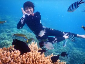 Spot Free diving Takak Bintang Karimunjawa