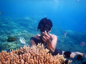 Spot snorkeling Takak Bintang Karimunjawa