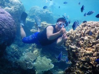 Terumbu karang Taka Sendok Karimunjawa