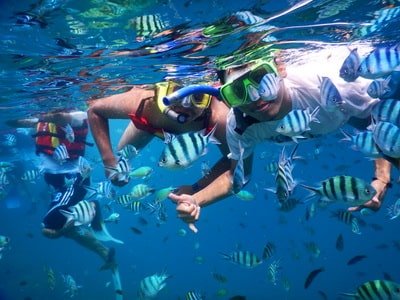 Snorkeling Paket Wisata Karimunjawa dari Semarang