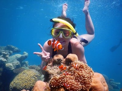 Spot Nemo Wisata Ke Karimunjawa dari Surabaya
